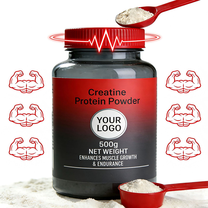 High-Purity Creatine Protein Powder | Export-Qualified Muscle Gain Supplement OEM/ODM